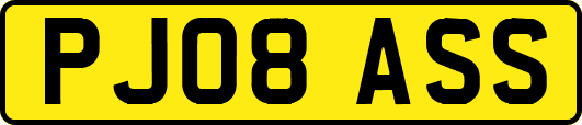 PJ08ASS