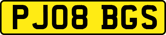 PJ08BGS