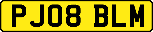 PJ08BLM