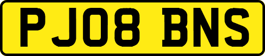 PJ08BNS