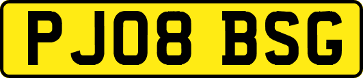 PJ08BSG
