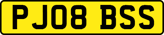 PJ08BSS