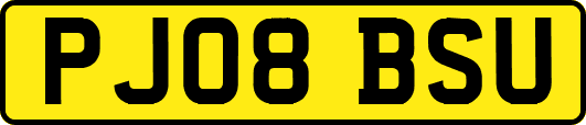 PJ08BSU