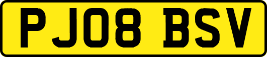 PJ08BSV