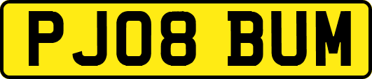 PJ08BUM