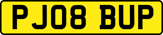 PJ08BUP