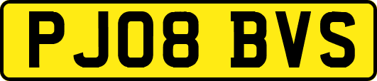 PJ08BVS