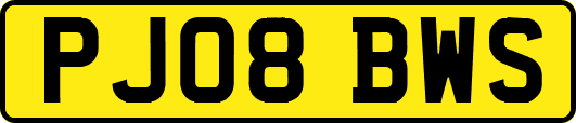 PJ08BWS