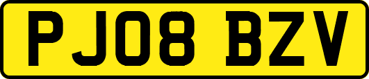 PJ08BZV