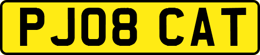 PJ08CAT