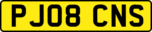 PJ08CNS