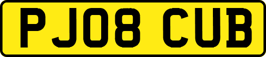 PJ08CUB