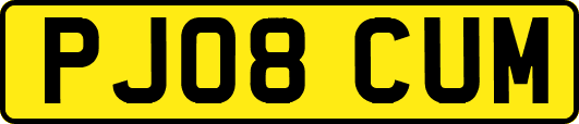 PJ08CUM
