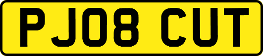 PJ08CUT