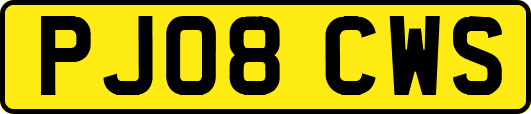 PJ08CWS