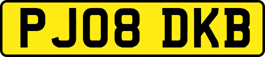 PJ08DKB