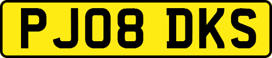 PJ08DKS