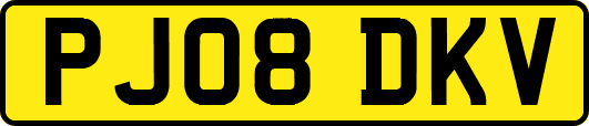 PJ08DKV
