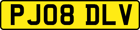 PJ08DLV