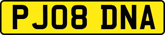 PJ08DNA