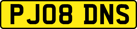 PJ08DNS