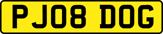 PJ08DOG