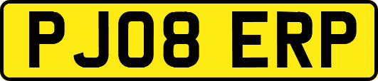PJ08ERP