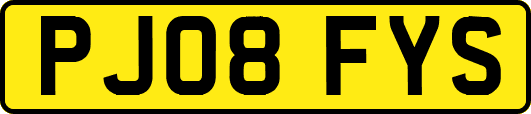 PJ08FYS