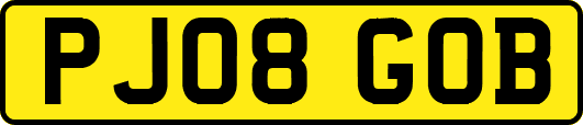 PJ08GOB