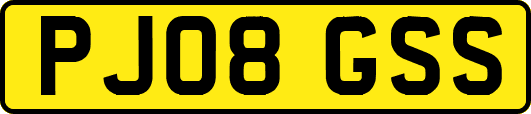 PJ08GSS