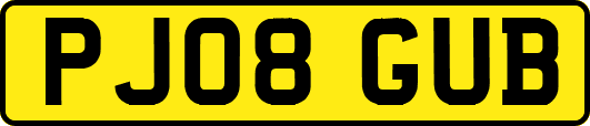 PJ08GUB
