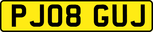 PJ08GUJ