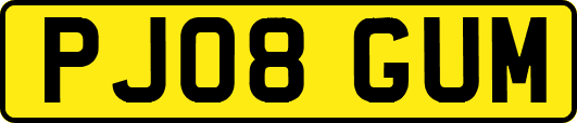 PJ08GUM