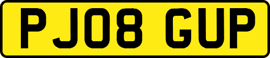 PJ08GUP