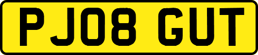 PJ08GUT