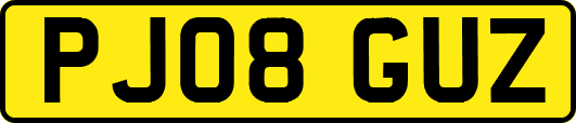 PJ08GUZ