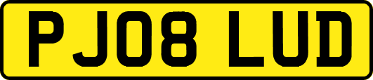 PJ08LUD