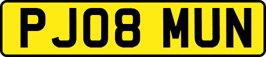 PJ08MUN