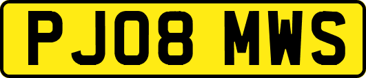 PJ08MWS