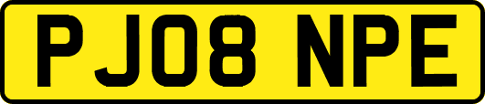 PJ08NPE