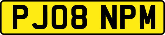 PJ08NPM