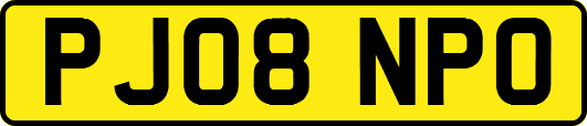 PJ08NPO