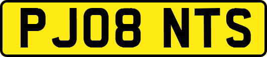 PJ08NTS