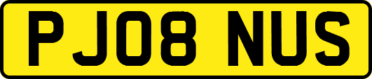 PJ08NUS