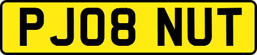 PJ08NUT