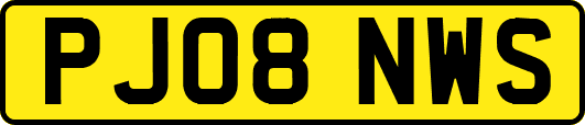 PJ08NWS