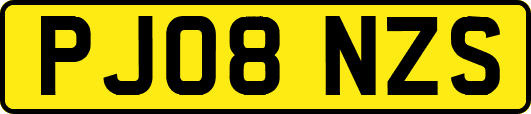 PJ08NZS