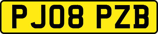PJ08PZB