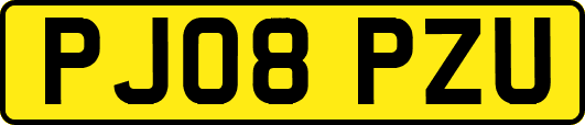 PJ08PZU