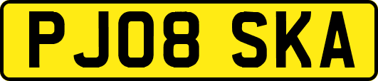 PJ08SKA